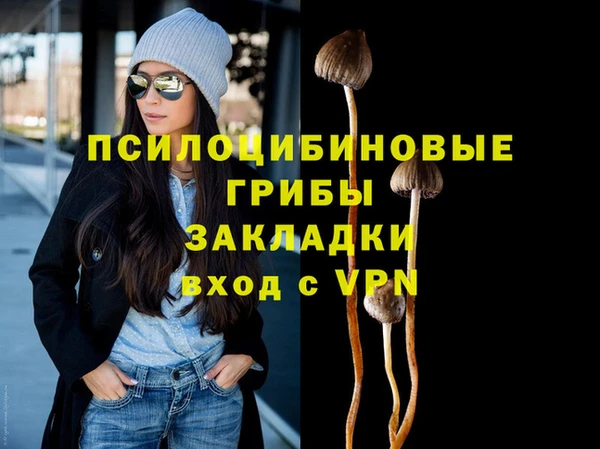спайс Абаза